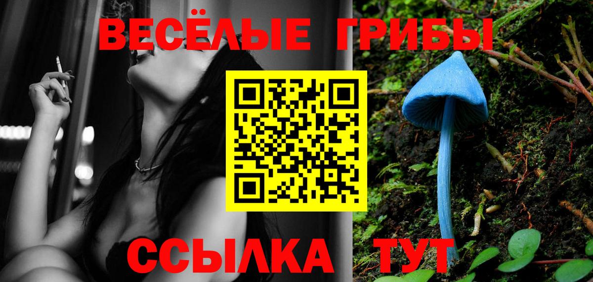 Псилоцибиновые грибы Cubensis Анжеро-Судженск