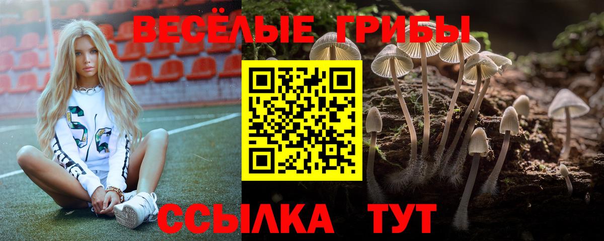 Псилоцибиновые грибы Psilocybine cubensis  Вход с VPN  Галлюциногенные грибы GOLDEN TEACHER  Анжеро-Судженск 