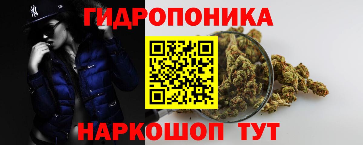Каннабис конопля  Каннабис план  Конопля марихуана  Анжеро-Судженск  Вход с VPN 